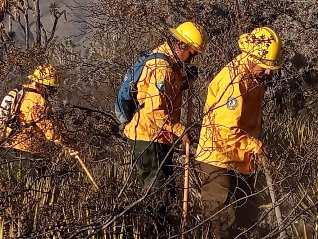Refuerzan brigadistas de la SEDUMA combate a incendio de pastizales en&nbsp;Tula