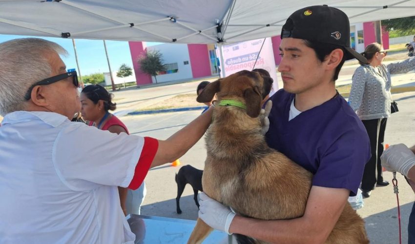 Refuerza Salud campaña de vacunación antirrábica para perros y gatos en todo el&nbsp;estado